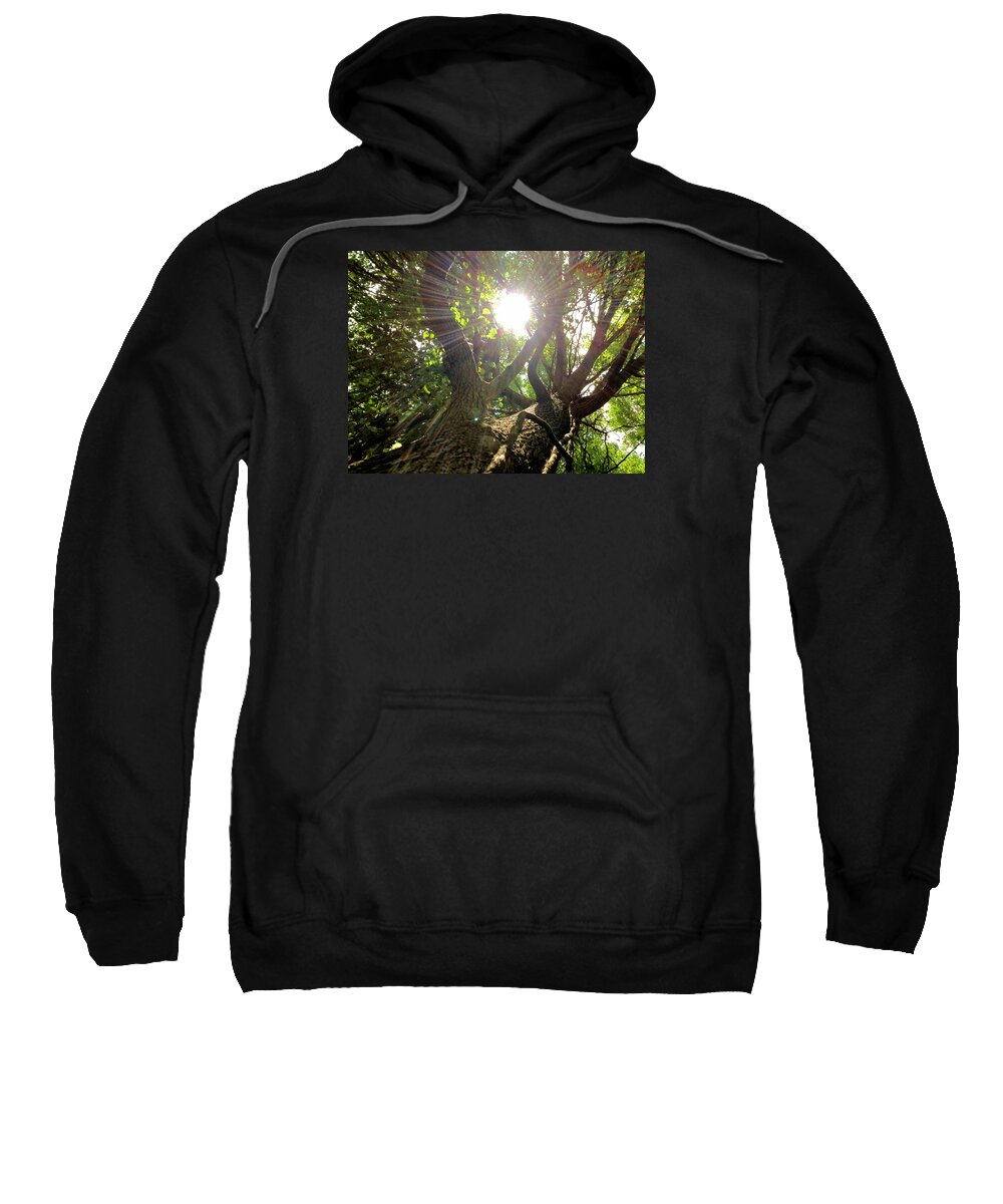 Landscape Sweatshirt featuring the photograph Dreaming Under Tree by Morgan Carter