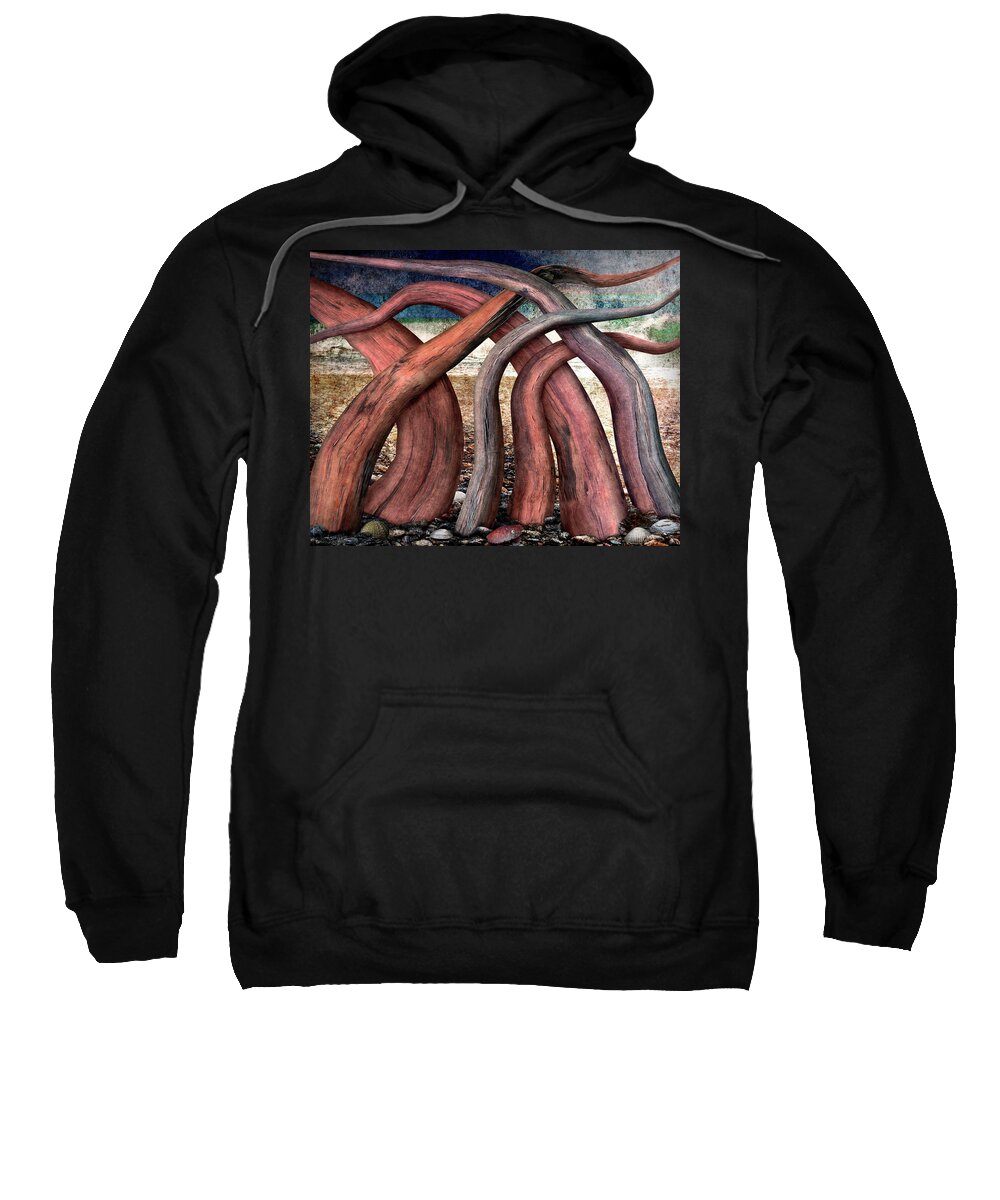 Driftwood Sweatshirt featuring the digital art Driftwood by Ken Taylor