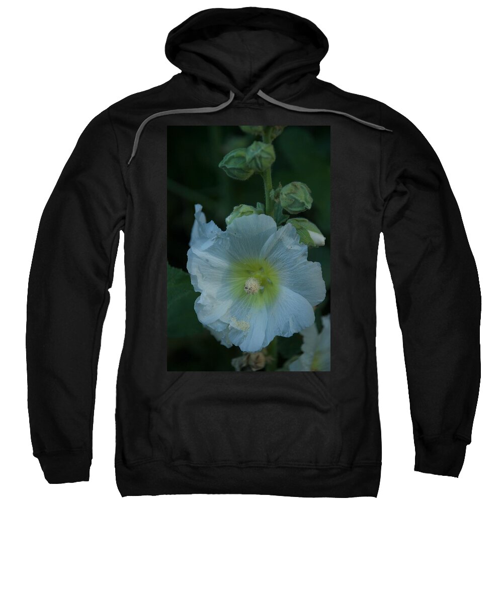 Flower Sweatshirt featuring the photograph Dust by Joseph Yarbrough