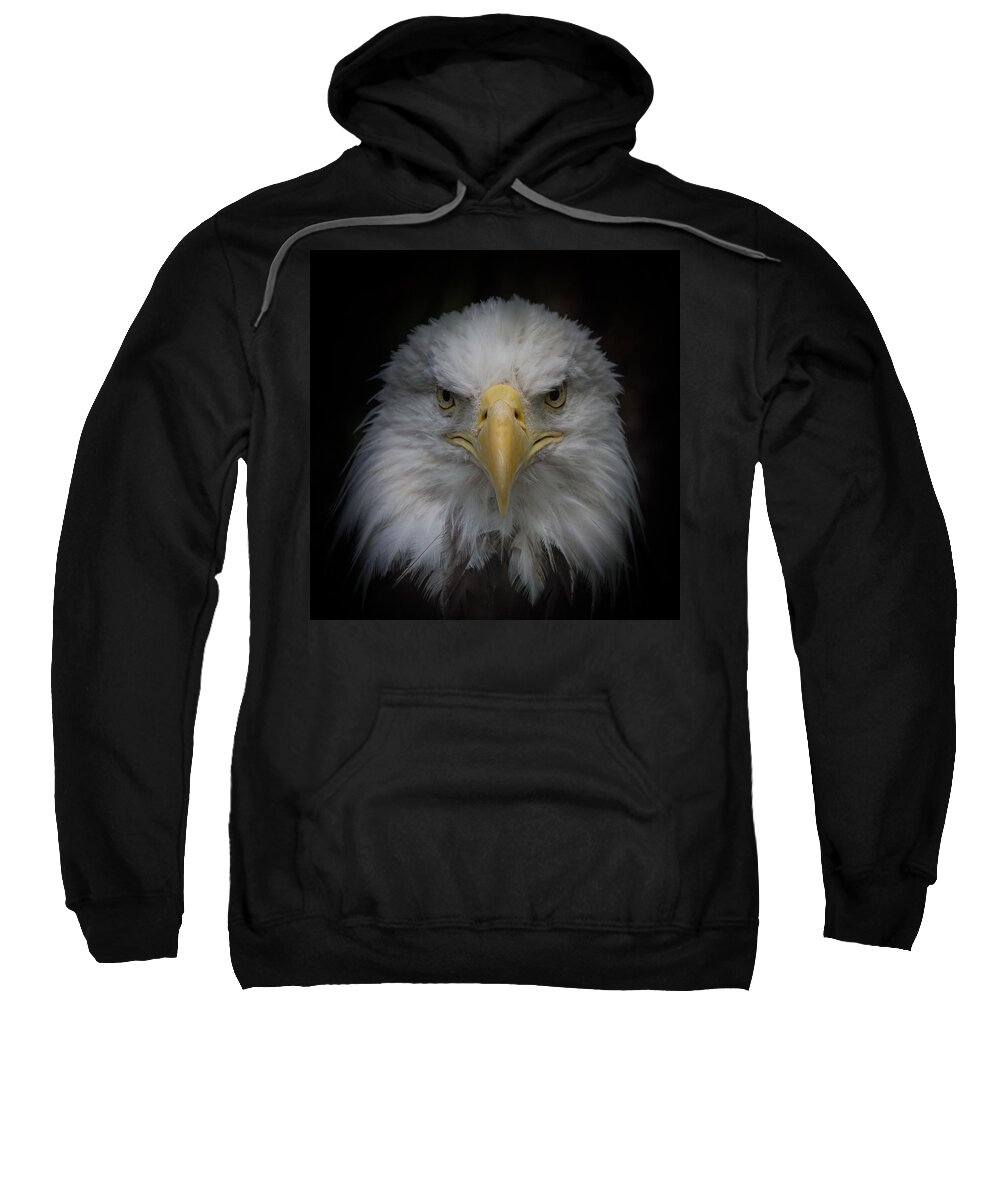 Bald Eagle Sweatshirt featuring the photograph Eagle Stare by Ernest Echols