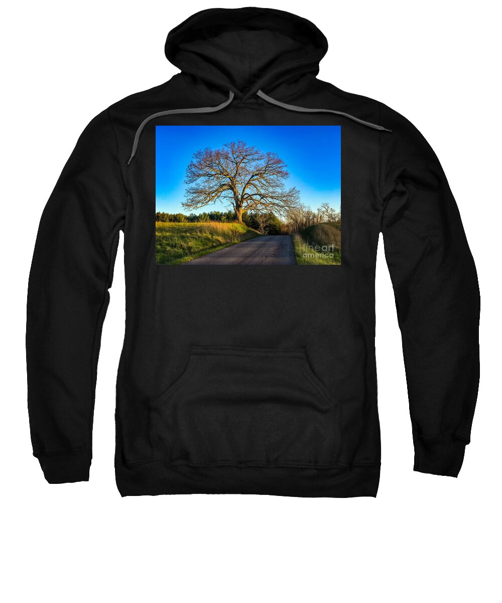 Tree Sweatshirt featuring the photograph Evening Tree by Kevin Craft