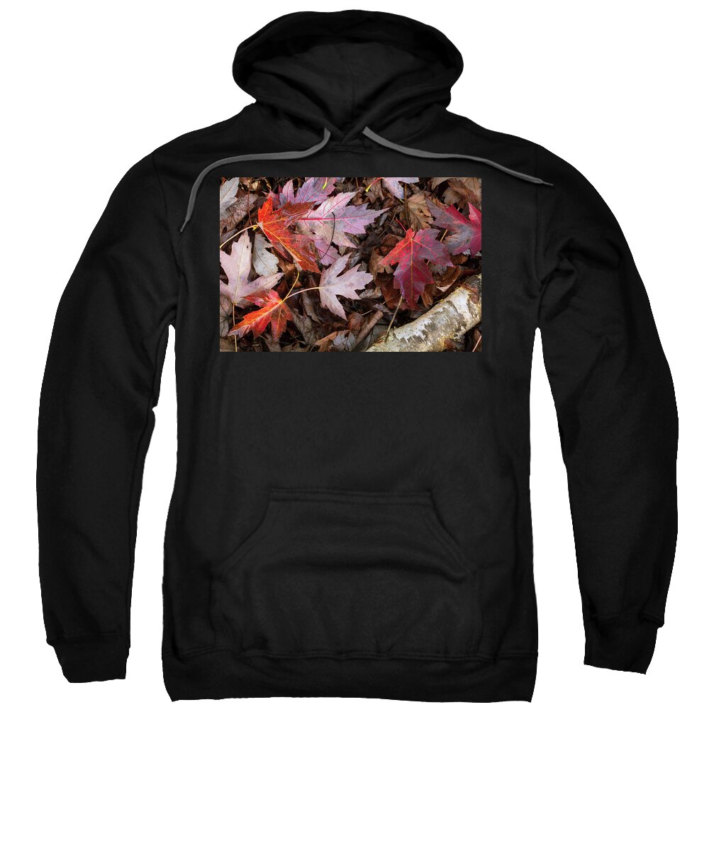 Nature Photography Sweatshirt featuring the photograph Fall Carpet by Catherine Avilez
