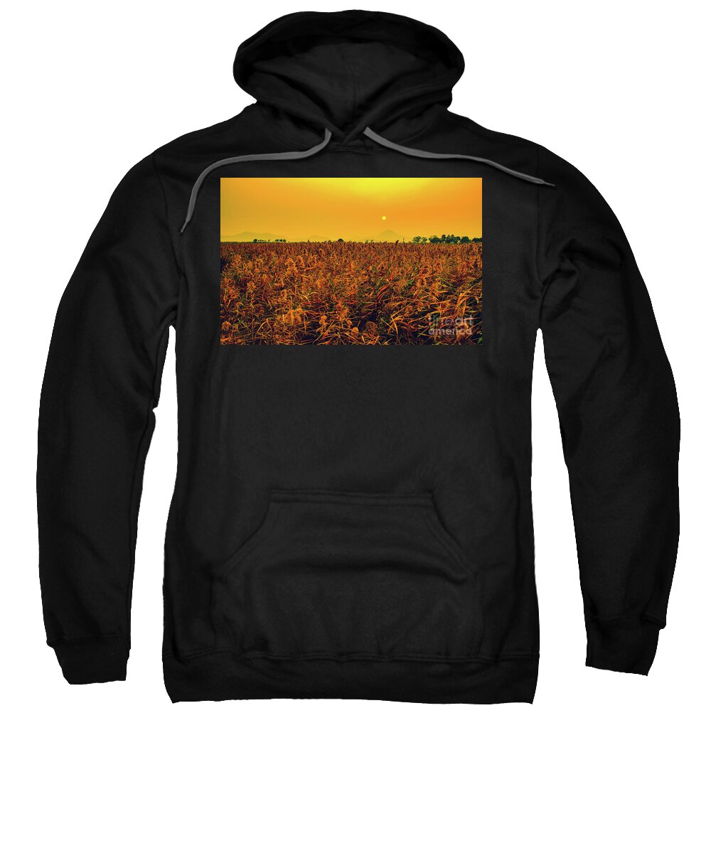 Suncheon Sweatshirt featuring the photograph Field of Reeds by Russell Alexander