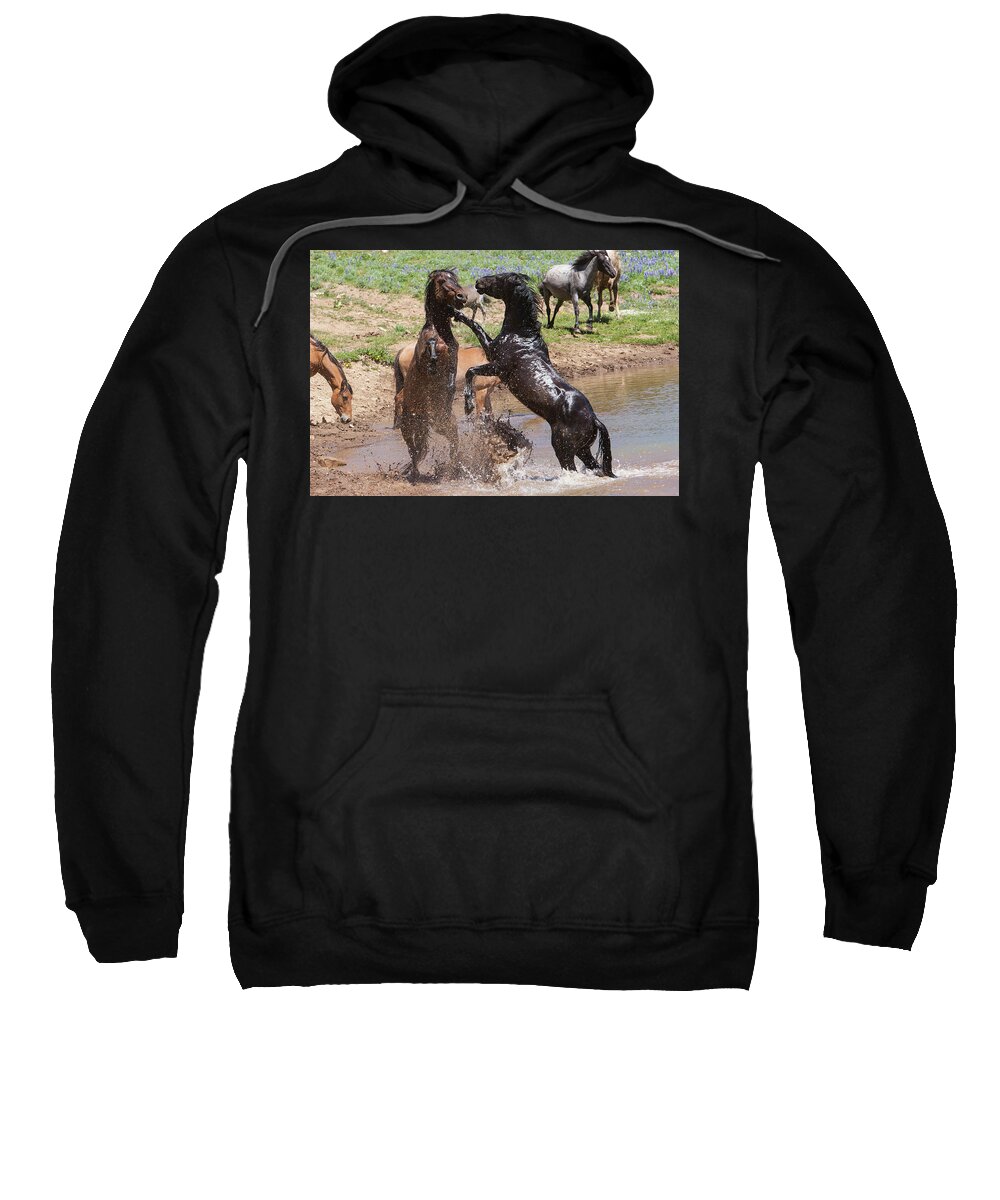 Wild Stallions Sweatshirt featuring the photograph Fight at the Water Hole Wild Stallions by Mark Miller