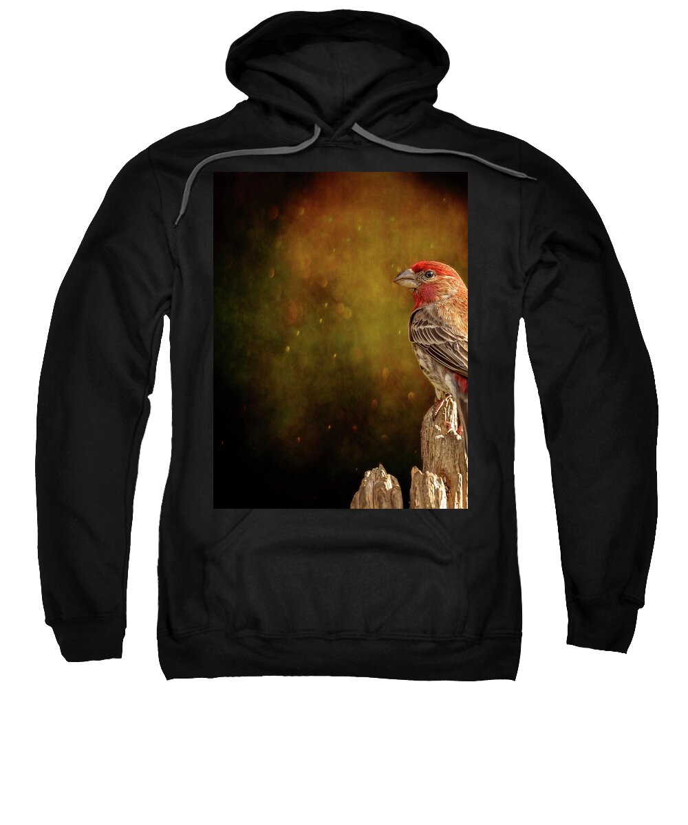 Animal Sweatshirt featuring the photograph Finch From The Back by Bill and Linda Tiepelman