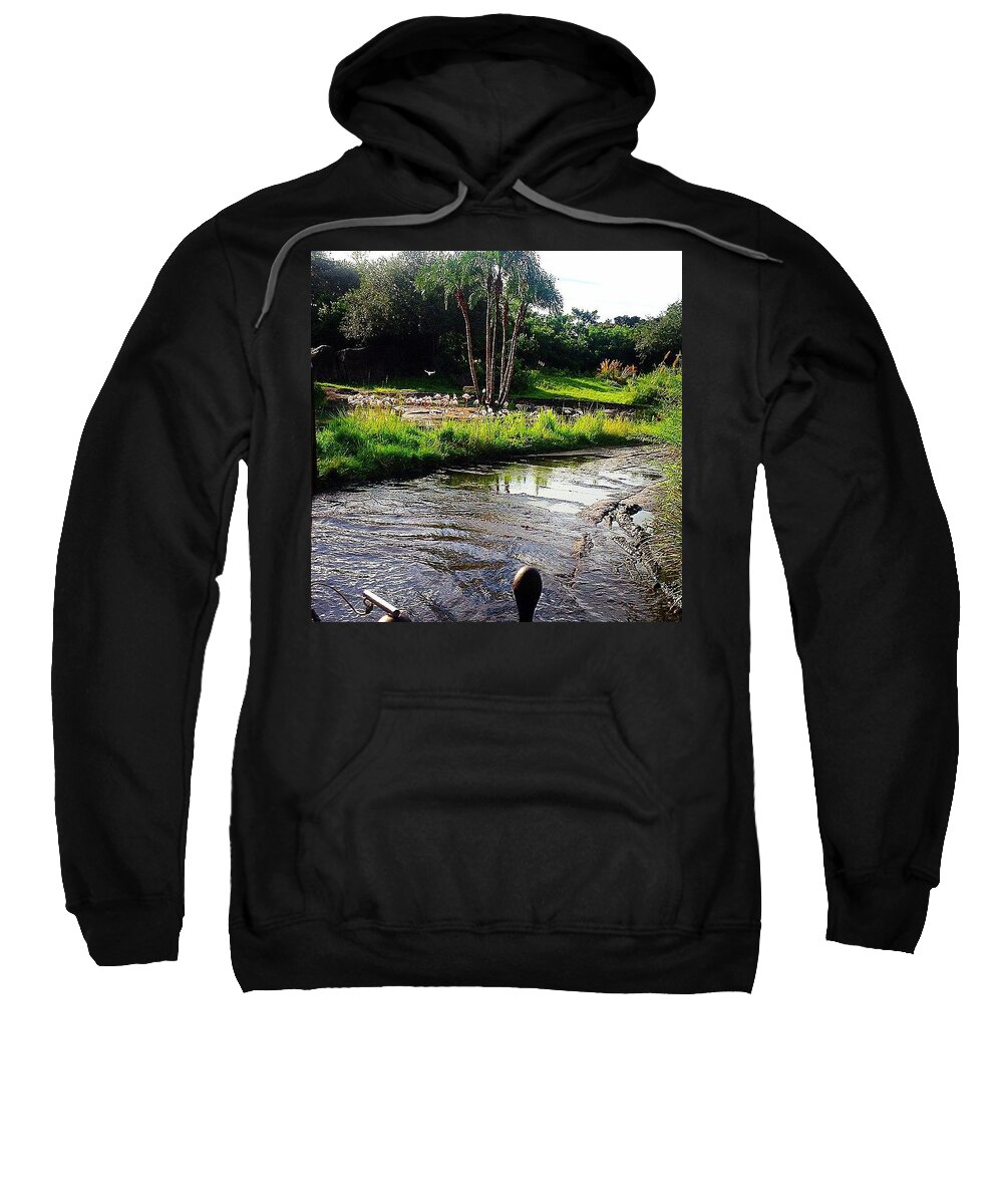 Beautiful Sweatshirt featuring the photograph Flamingos by Kate Arsenault 