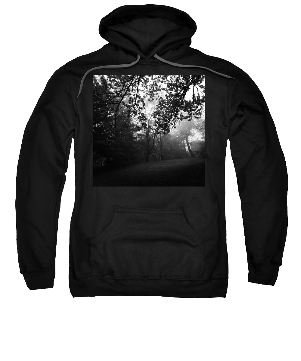Monochrome Sweatshirt featuring the photograph Fog In The Trees by Frank J Casella