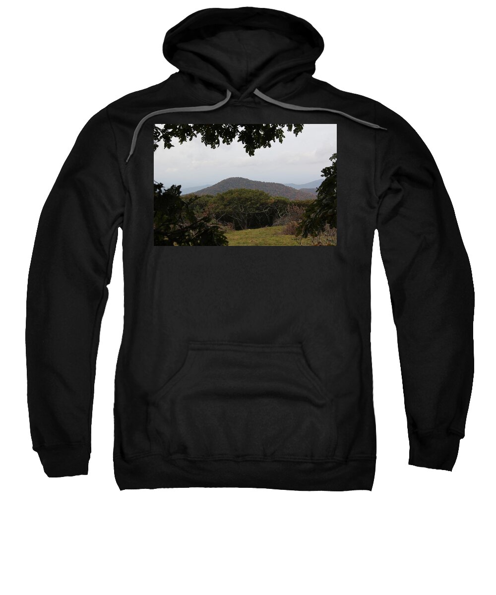 Mountains Sweatshirt featuring the photograph Forest Dark Space by Allen Nice-Webb