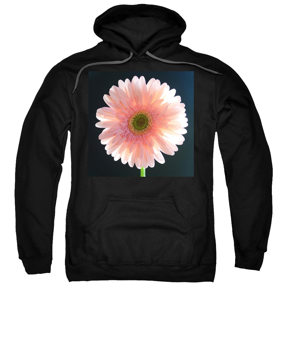 Nature Sweatshirt featuring the photograph Fragile by Melanie Moraga