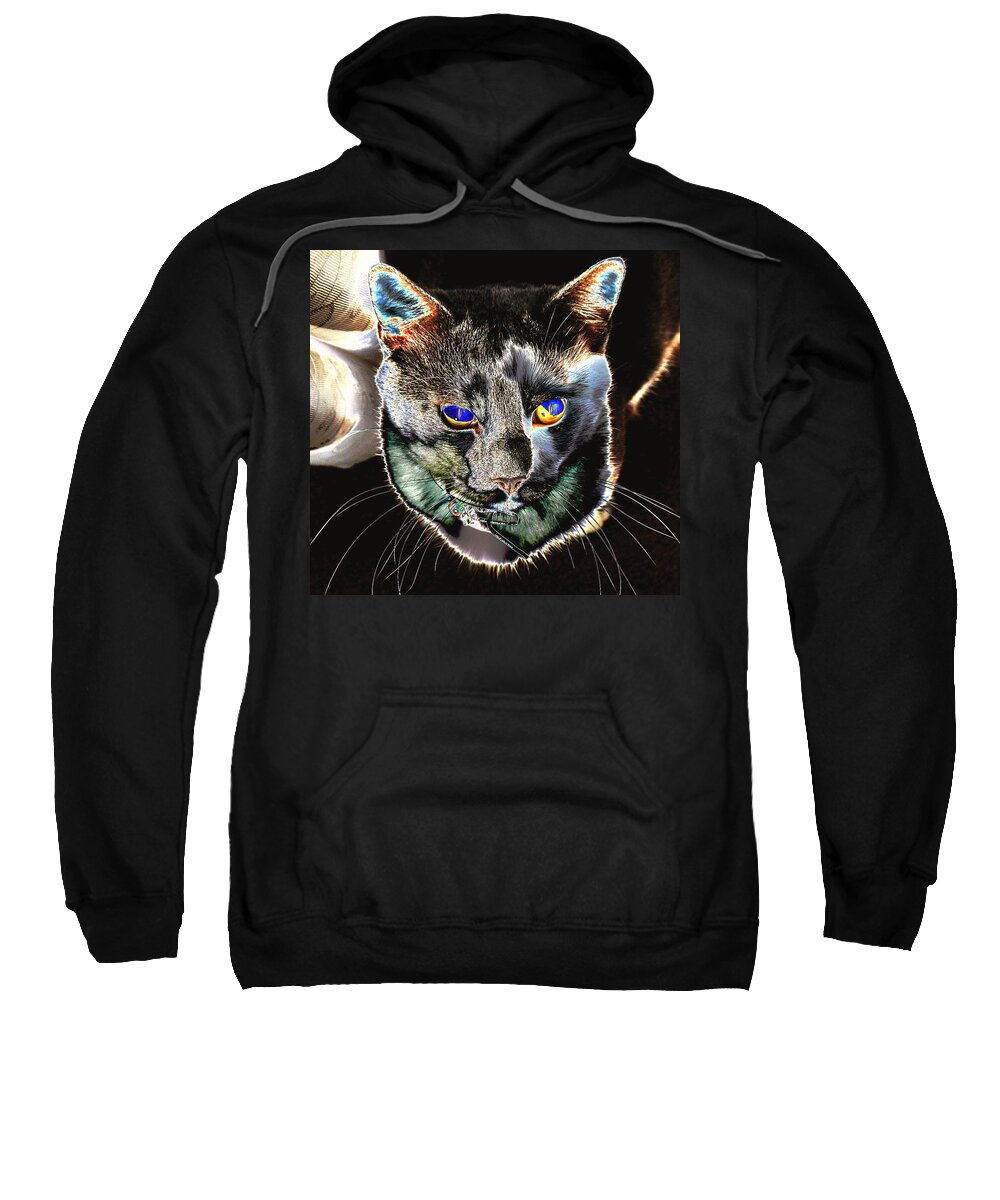 Cat Sweatshirt featuring the photograph Ghosty by Larry Beat