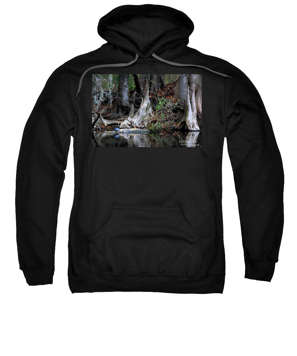 Cypress Knees Sweatshirt featuring the photograph Giant Cypress Knees by Barbara Bowen