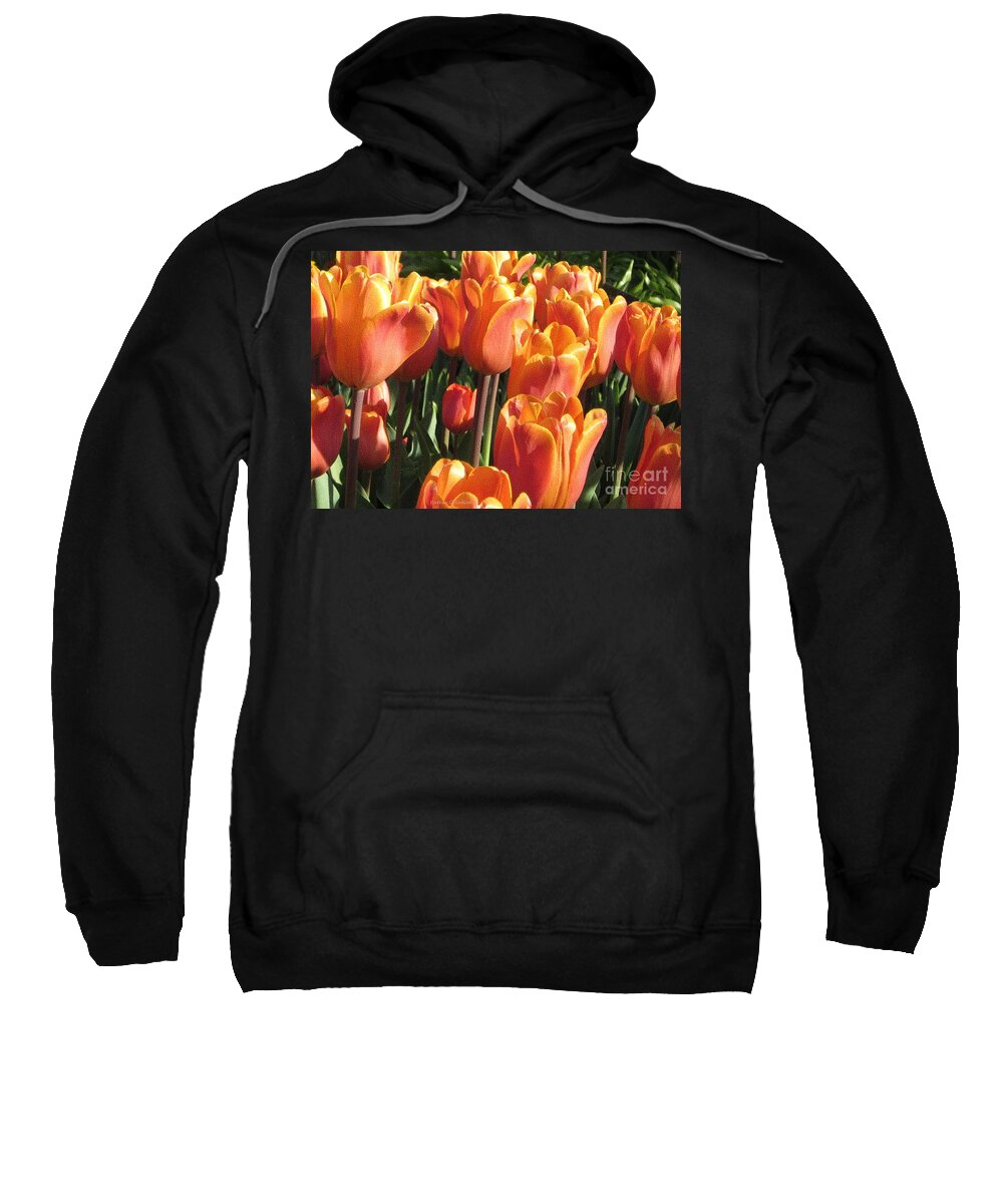 Photography Sweatshirt featuring the photograph Gold-Tipped by Kathie Chicoine