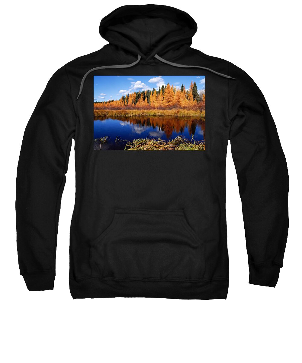 Spruce River Sweatshirt featuring the photograph Golden Tamaracks along the Spruce River by Larry Ricker