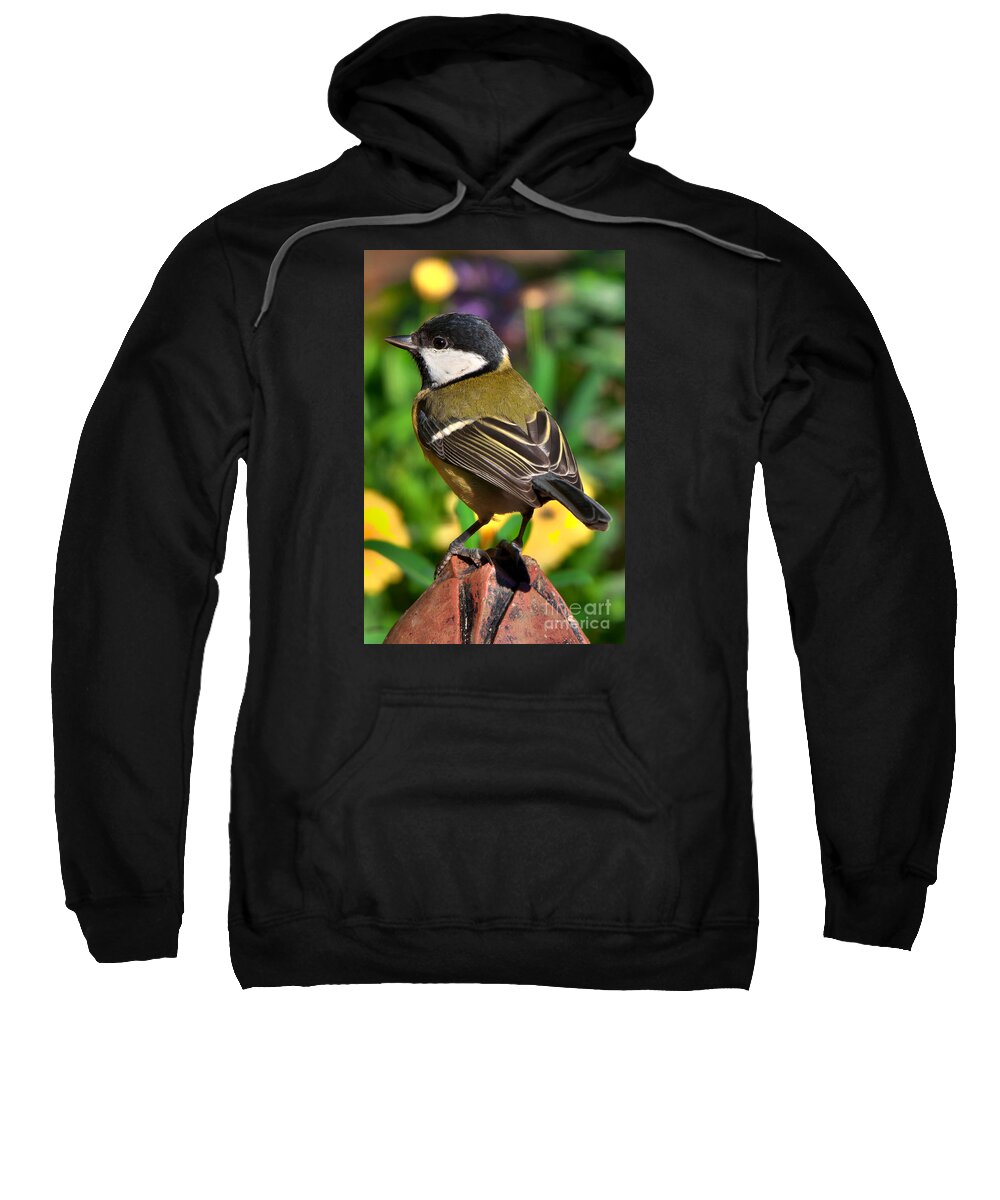 Great Tit Sweatshirt featuring the photograph Great Tit British Bird parus major by Martyn Arnold