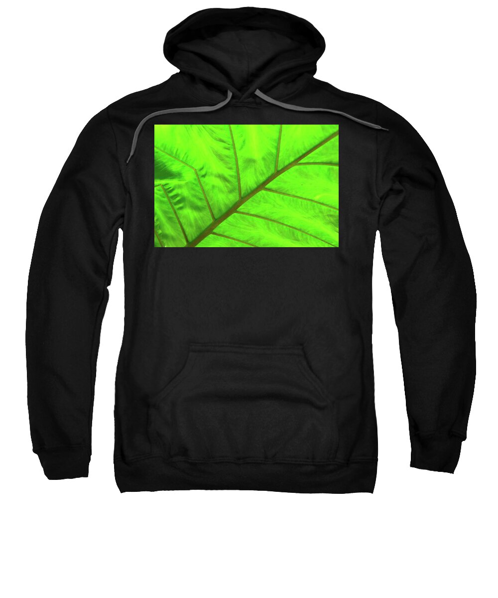 Eden Project Sweatshirt featuring the photograph Green Abstract No. 5 by Helen Jackson