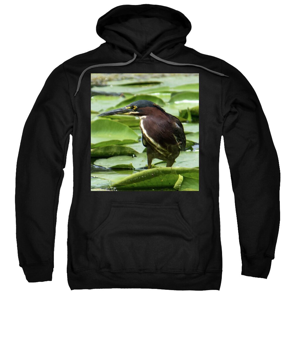 Green Heron Sweatshirt featuring the photograph Green Heron with Damselfly by Michael Hall