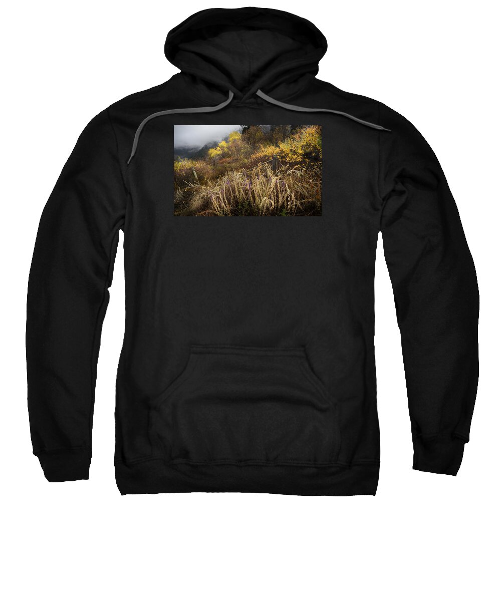 Autumn Sweatshirt featuring the photograph Green Mountain Dawn by John Poon