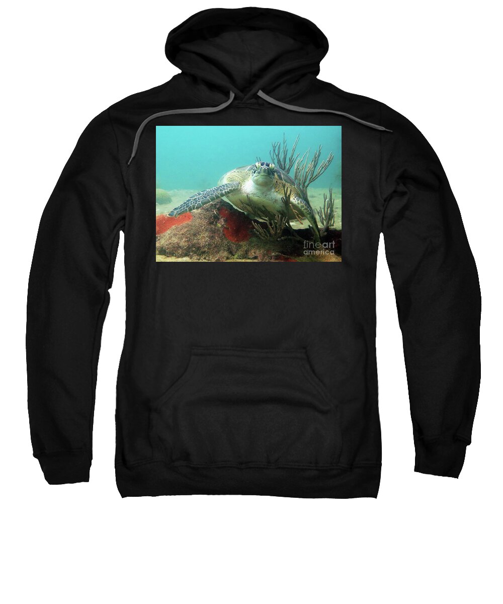 Underwater Sweatshirt featuring the photograph Green Sea Turtle 7 by Daryl Duda