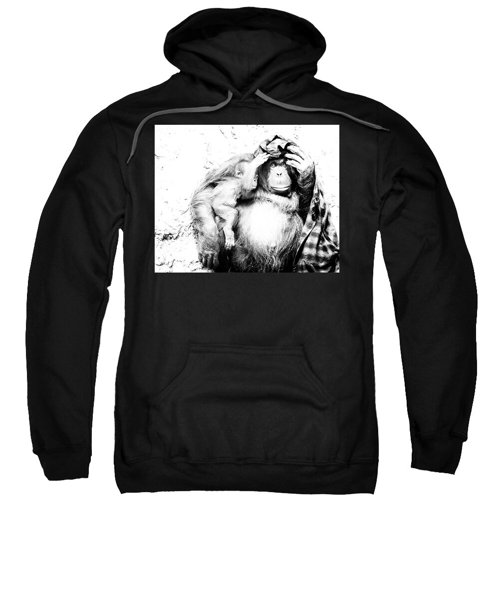 Crystal Yingling Sweatshirt featuring the photograph Hangin Out by Ghostwinds Photography