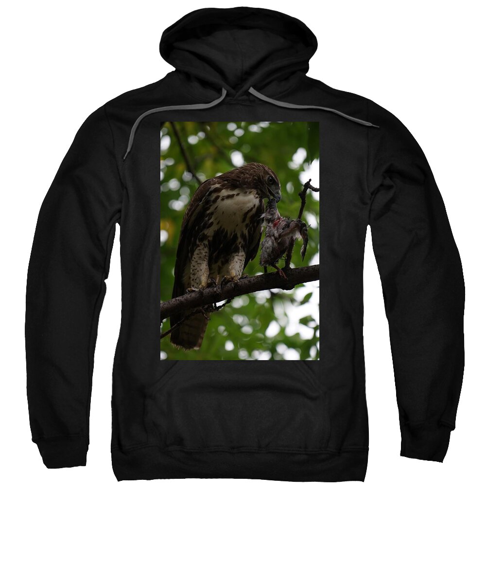 Red Tailed Hawk Sweatshirt featuring the photograph Hawks Meal by Brooke Bowdren