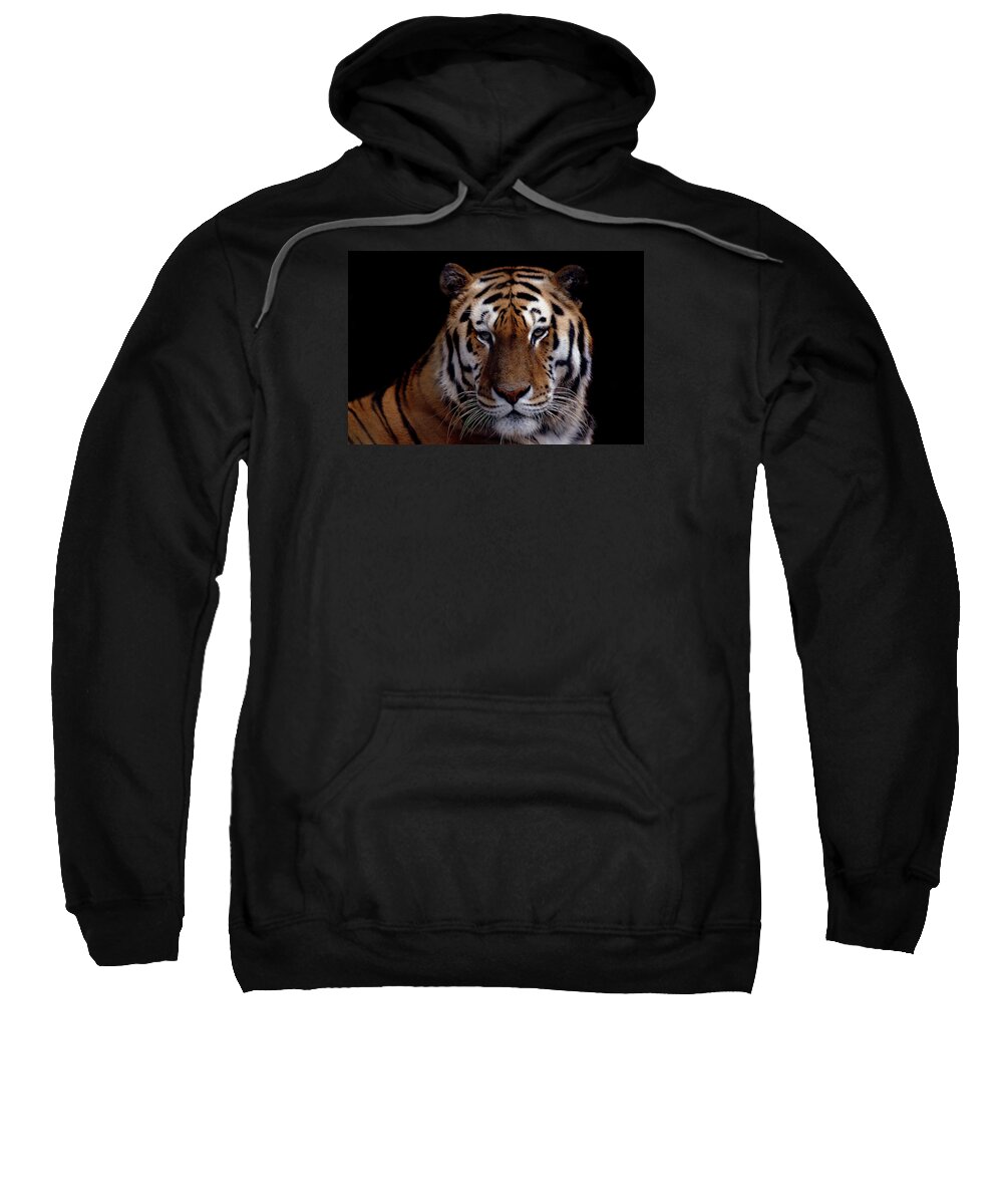 Nature Sweatshirt featuring the photograph Intense by Skip Willits