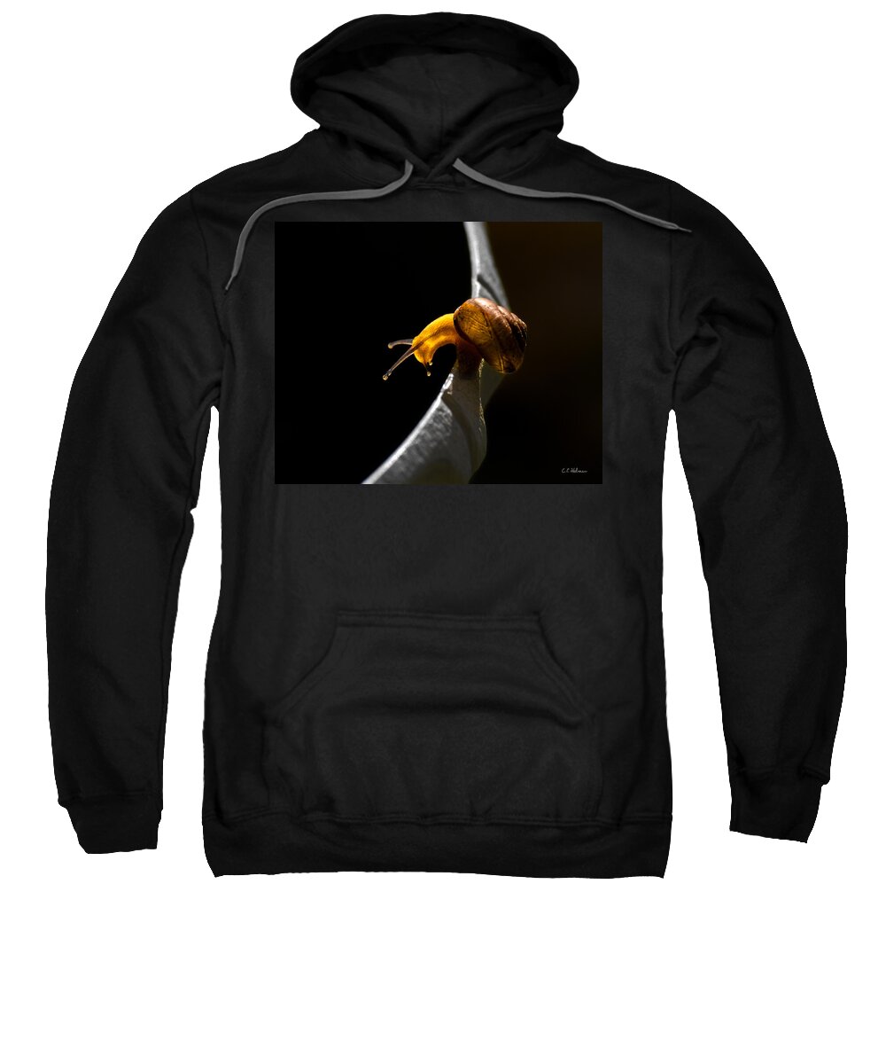 Insect Sweatshirt featuring the photograph It's Dark Down There by Christopher Holmes