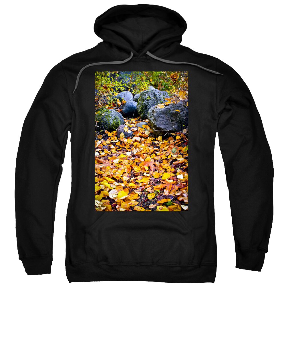 Autumn Color Sweatshirt featuring the photograph Kick Me by Albert Seger