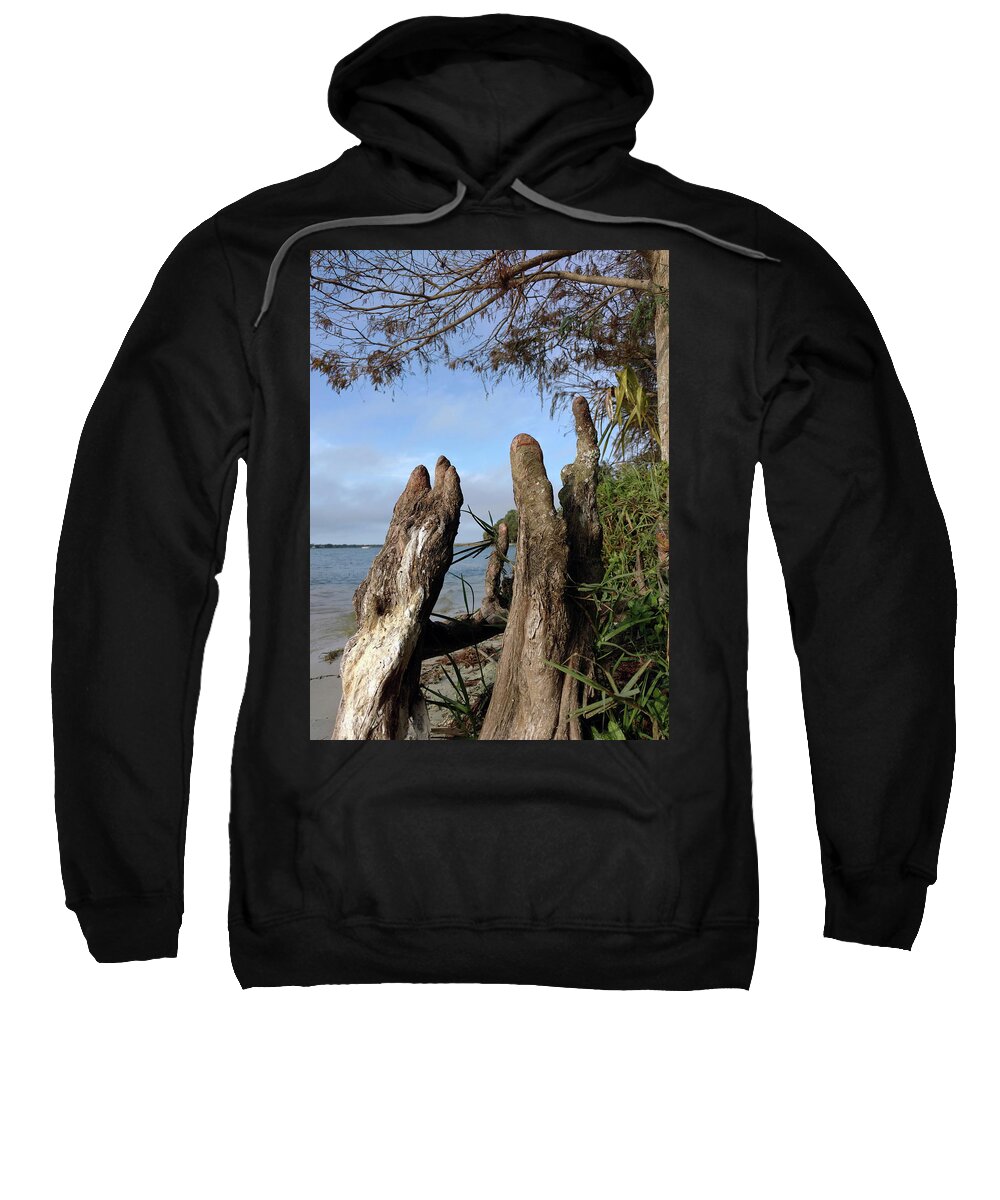 Mighty Sight Studio Sweatshirt featuring the photograph Knees by Steve Sperry