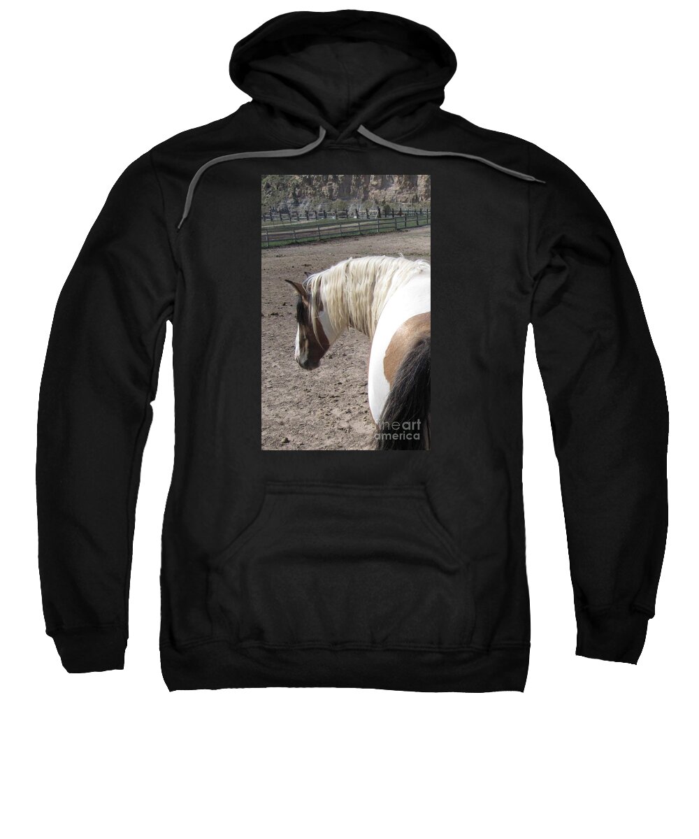 Horse Sweatshirt featuring the photograph Lakna by Brandy Woods