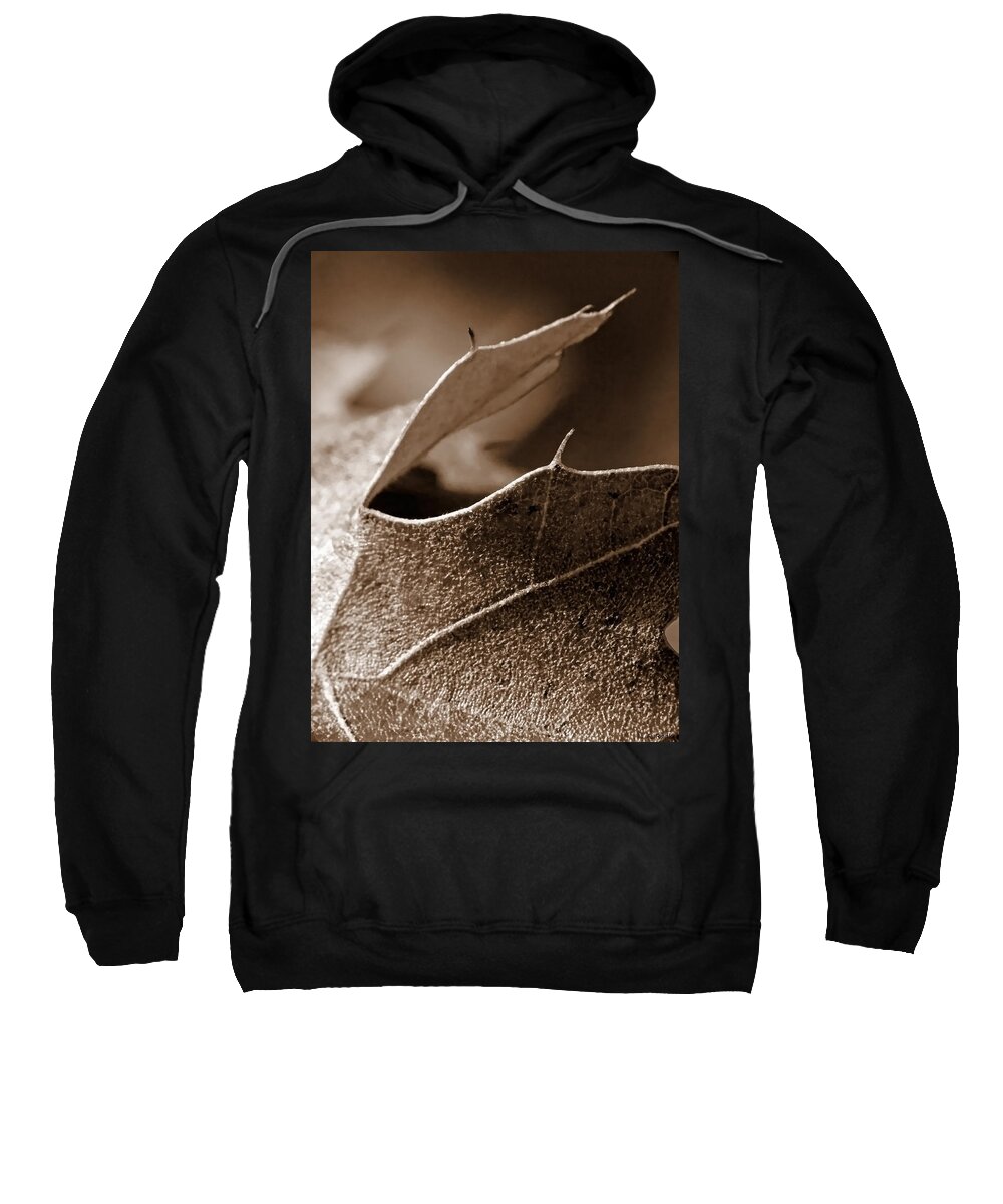 Macro Sweatshirt featuring the photograph Leaf Study in Sepia II by Lauren Radke