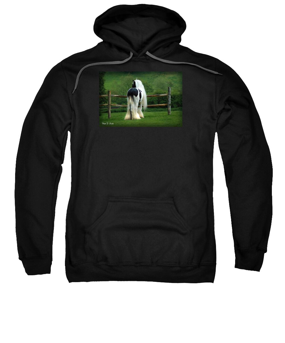Gypsy Stallion Sweatshirt featuring the photograph Lenny by Fran J Scott