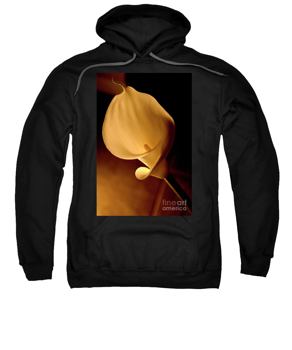 Calla Sweatshirt featuring the photograph Lily Flower Backlit by Gunther Allen