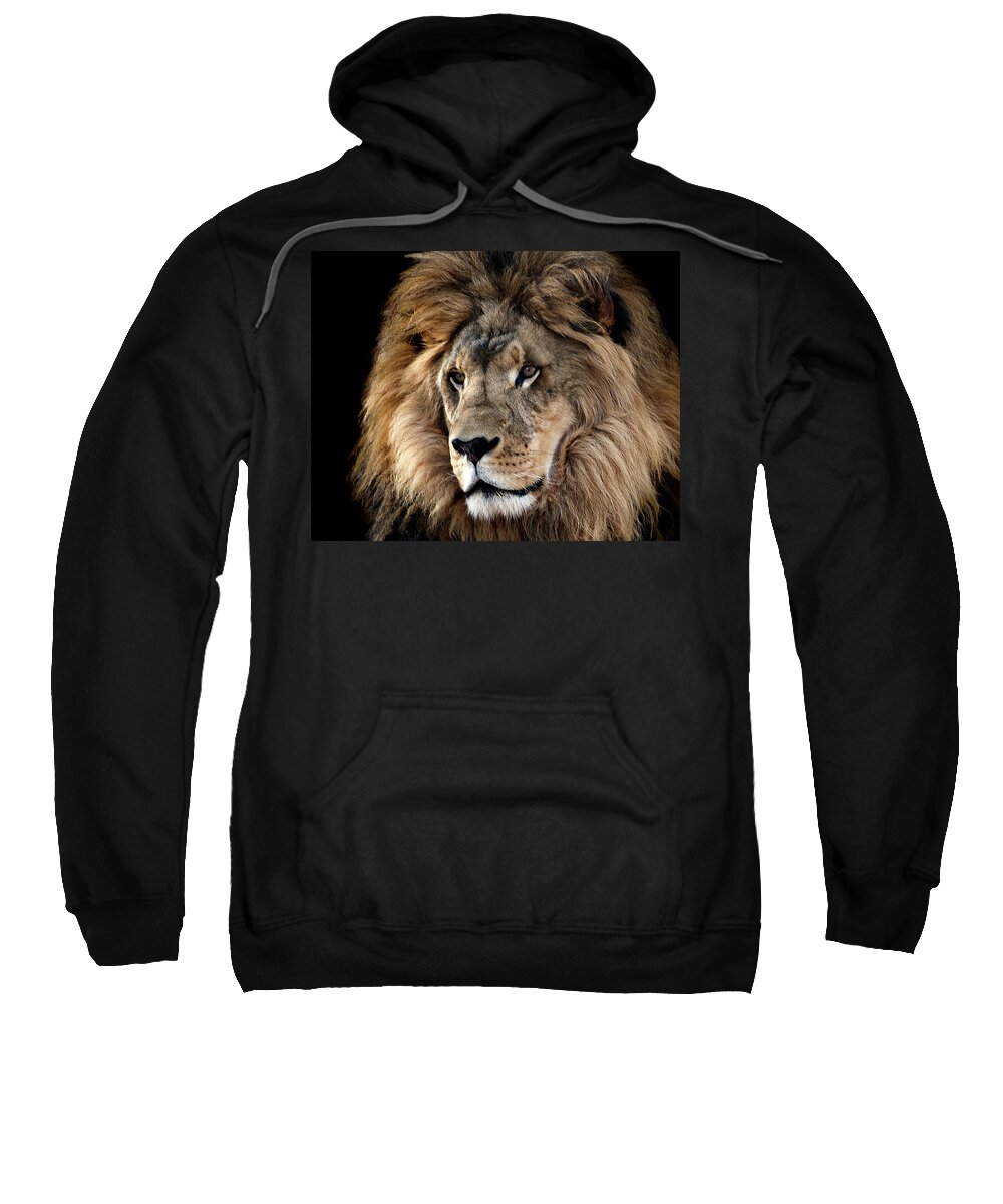 America Sweatshirt featuring the photograph Lion King of the Jungle 2 by James Sage