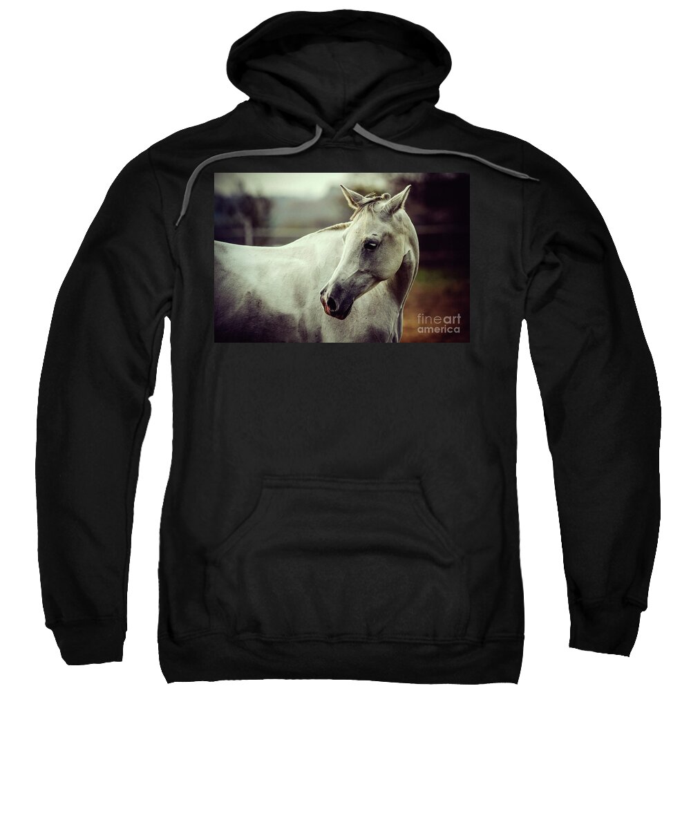 Horse Sweatshirt featuring the photograph Lonely white horse by Dimitar Hristov
