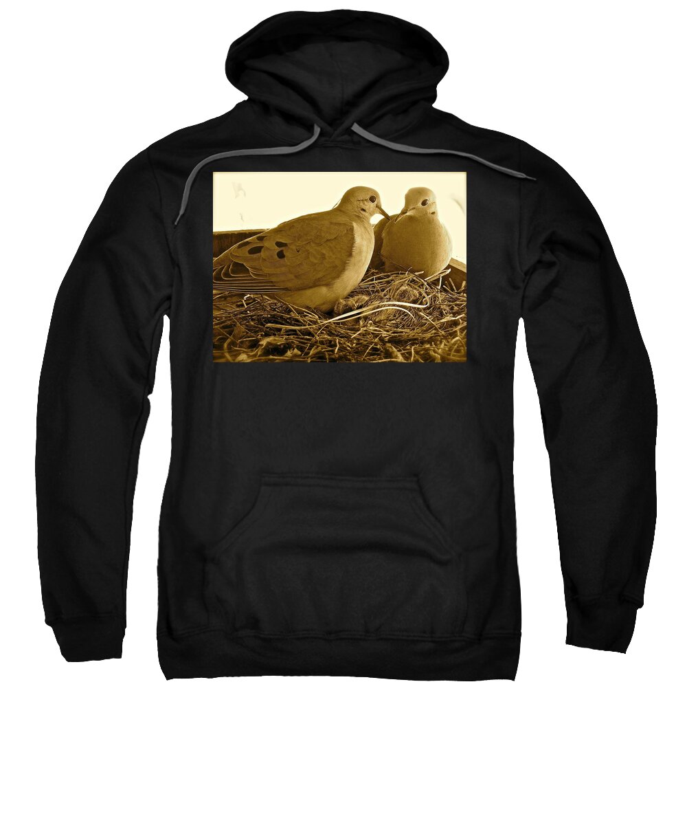 Birds Sweatshirt featuring the photograph Love Birds by Diana Hatcher