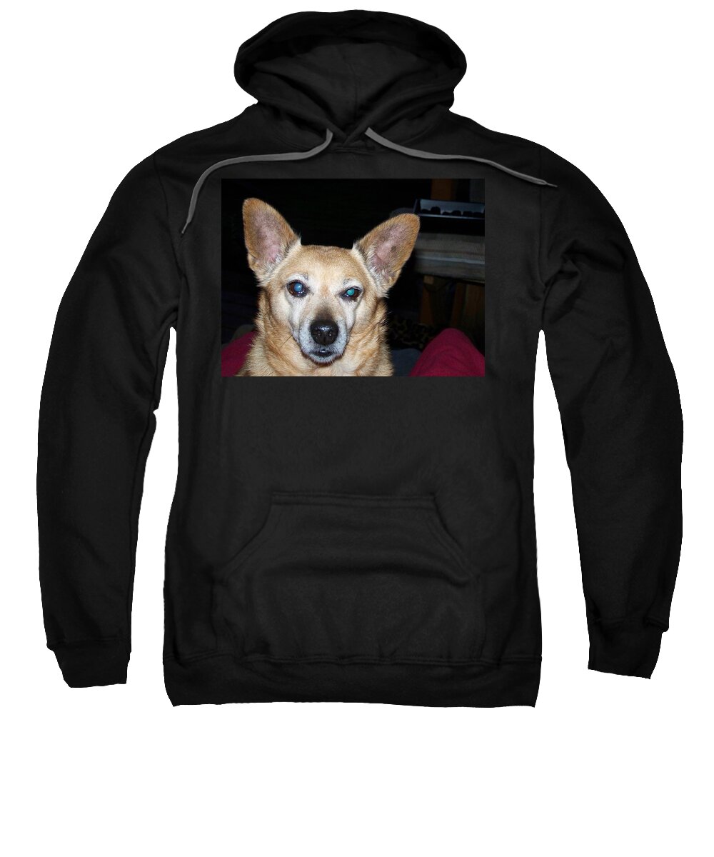 Digital Artwork Sweatshirt featuring the photograph Loyalty by Laurie Kidd