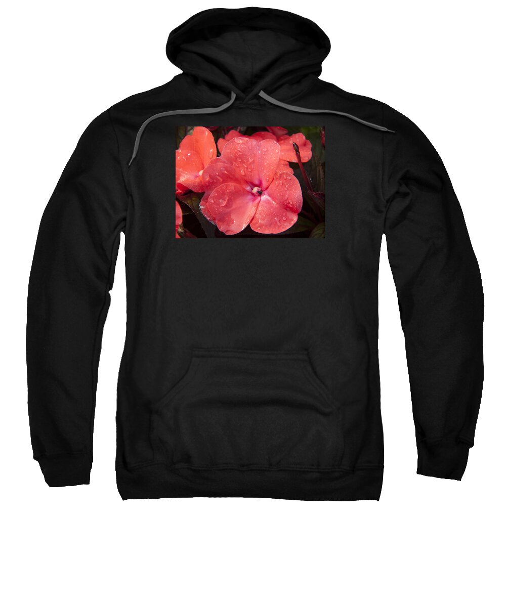 Lucky Sweatshirt featuring the photograph Lucky Friend by Janis Kirstein