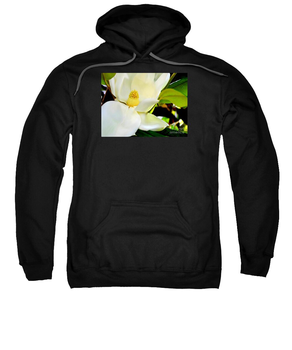 Magnolia Sweatshirt featuring the photograph Magnolia Greeting the Sun by Mary Deal