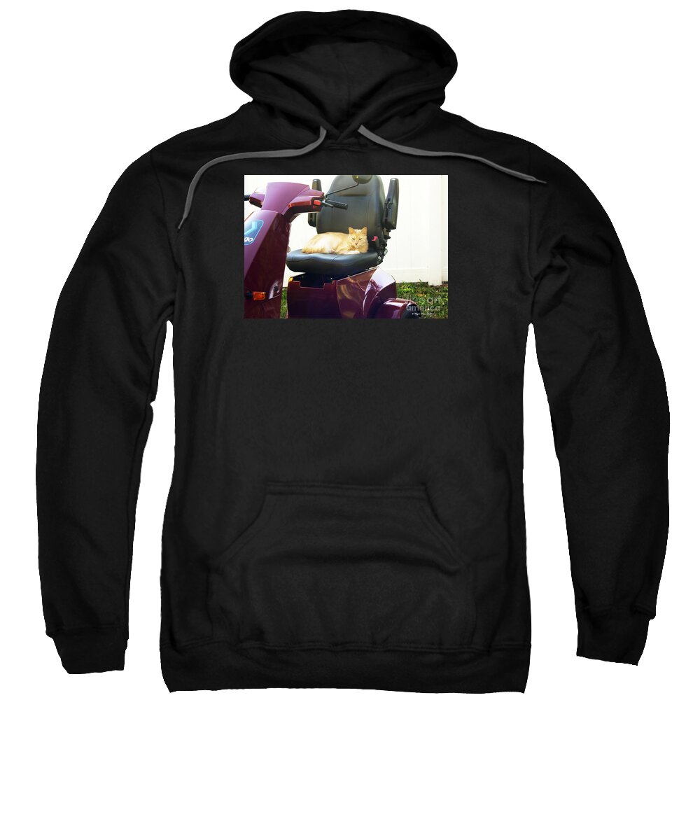 Cat Sweatshirt featuring the photograph MeGo and Erick 2 by Megan Dirsa-DuBois