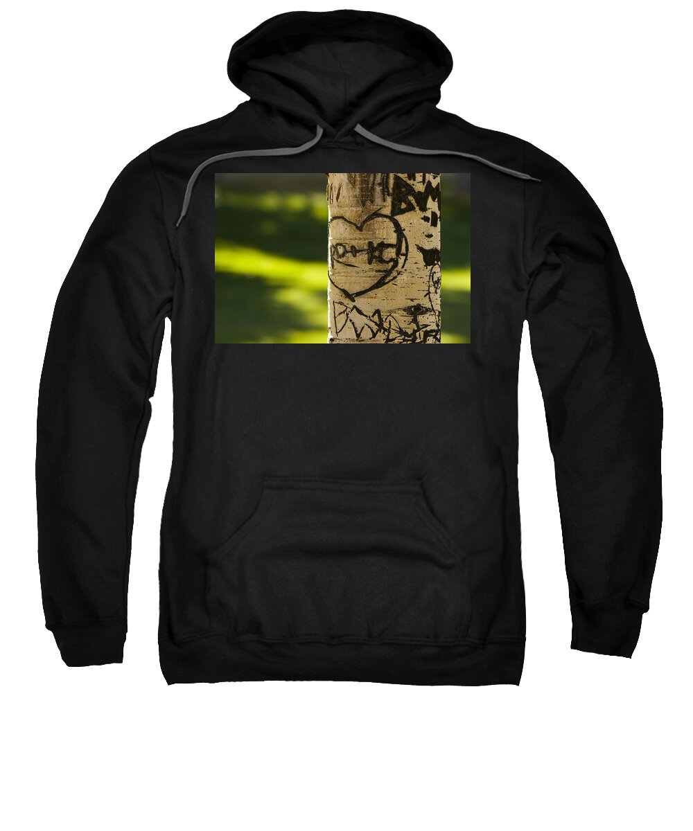 Carvings Sweatshirt featuring the photograph Memories in the Aspen Tree by James BO Insogna