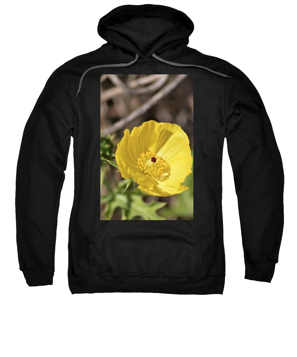 Mexican Poppy Light Sweatshirt featuring the photograph Mexican Poppy Light by Warren Thompson