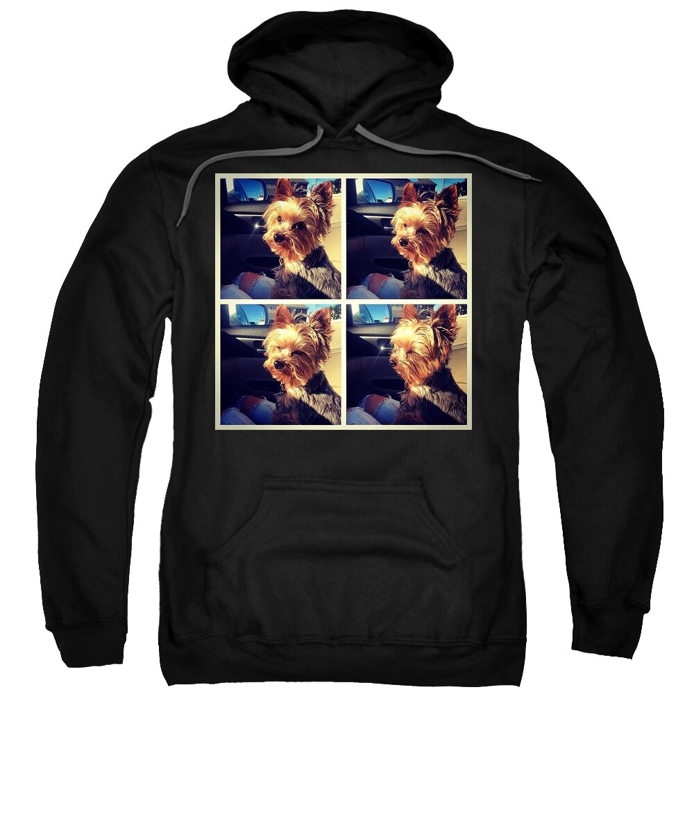 Sunshine Sweatshirt featuring the photograph Sometimes Its Too Bright by Kate Arsenault 