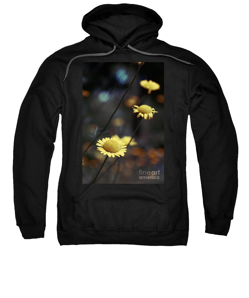 Flowers Sweatshirt featuring the photograph Momentum by Aimelle Ml