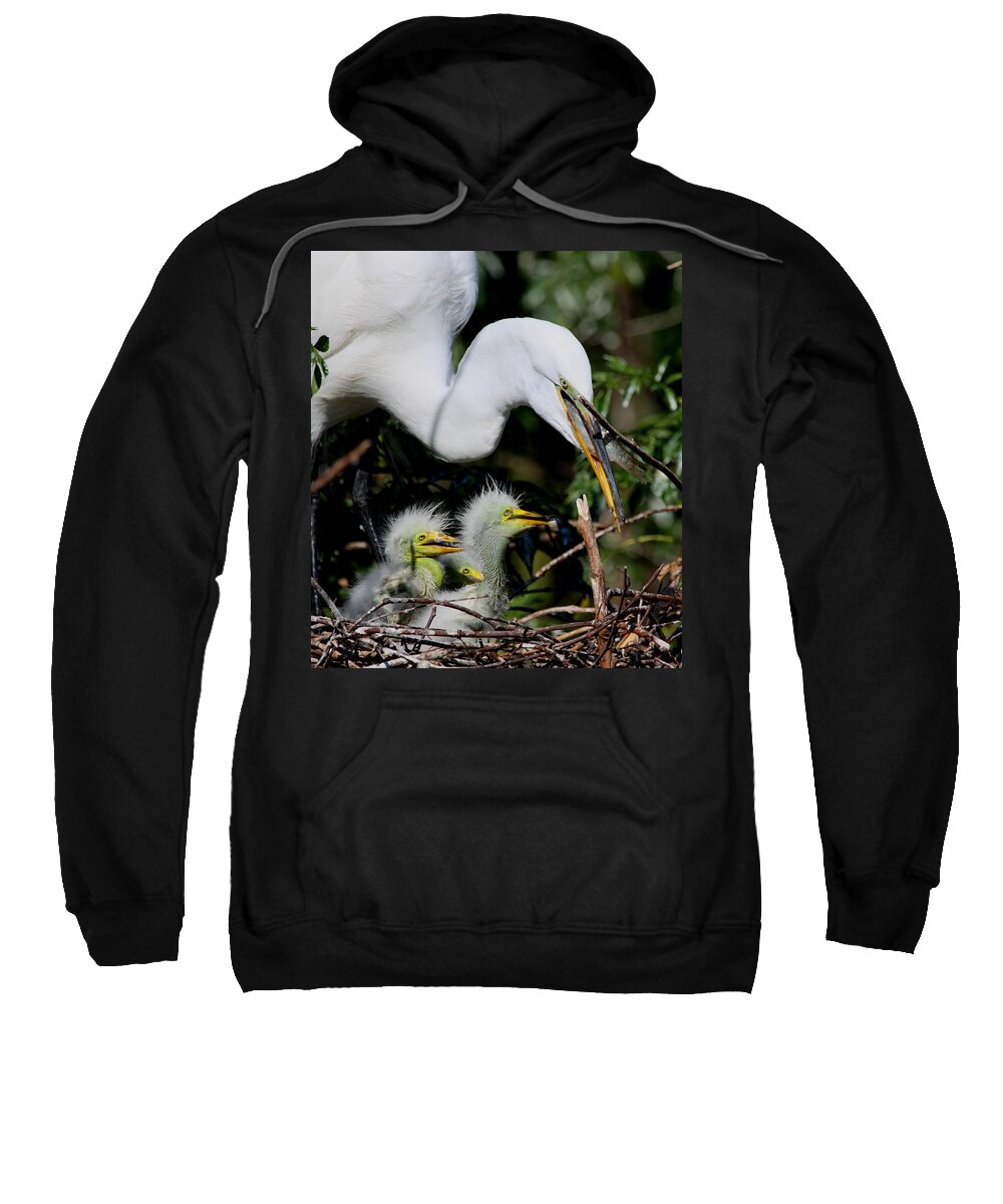 Great White Egret Sweatshirt featuring the photograph Momma took our food by Barbara Bowen