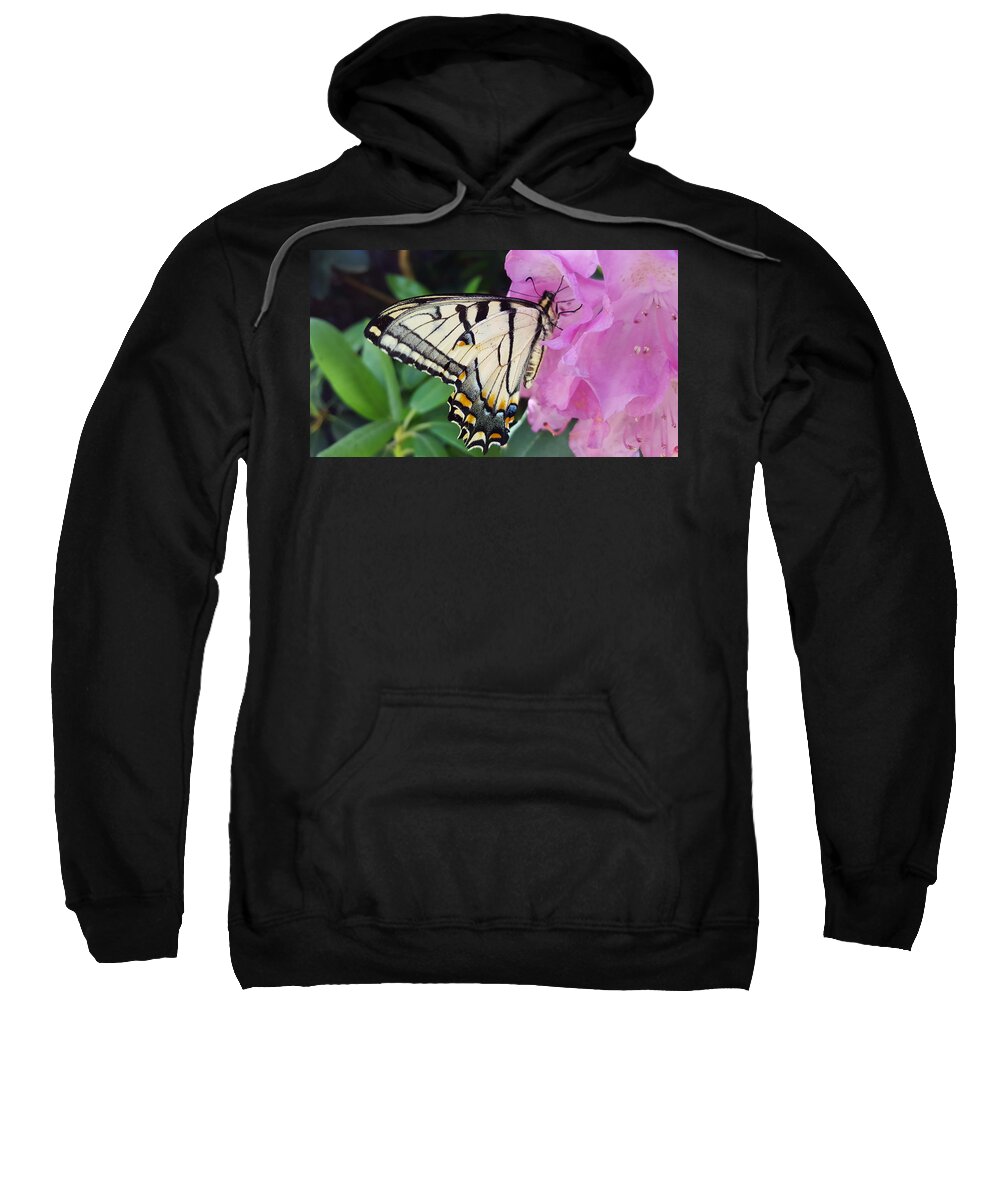 Butterfly Sweatshirt featuring the photograph Tuesday One by Dani McEvoy