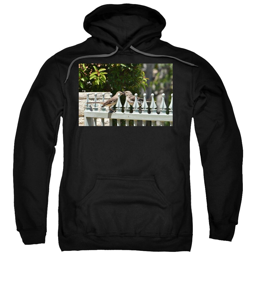 Linda Brody Sweatshirt featuring the photograph Mr and Mrs Mockingbird with Worms by Linda Brody
