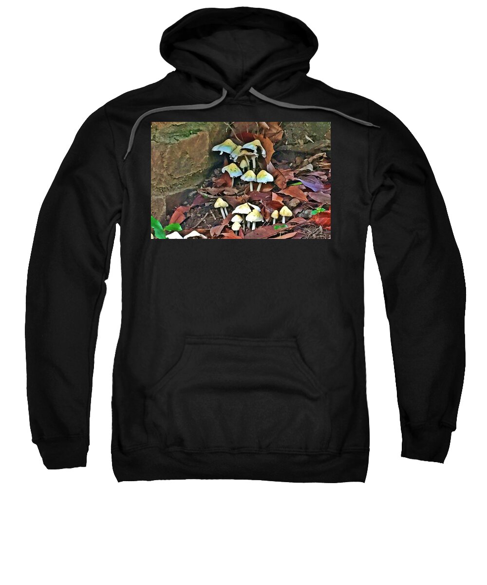Nature Sweatshirt featuring the photograph Mushrooms by Outside the door By Patt