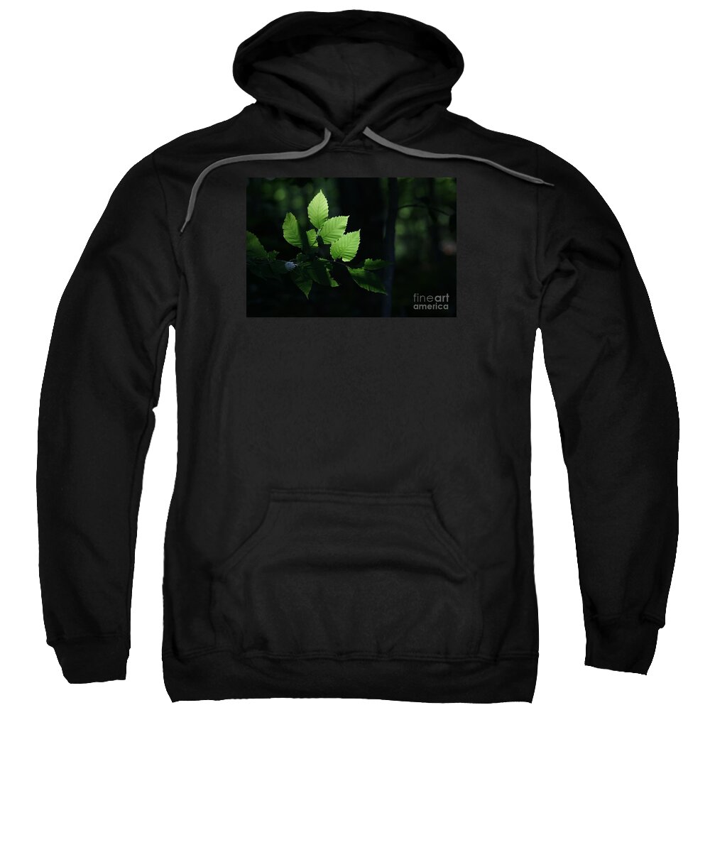 Forest Sweatshirt featuring the photograph Mute And Motionless As If Himself A Shadow by Linda Shafer