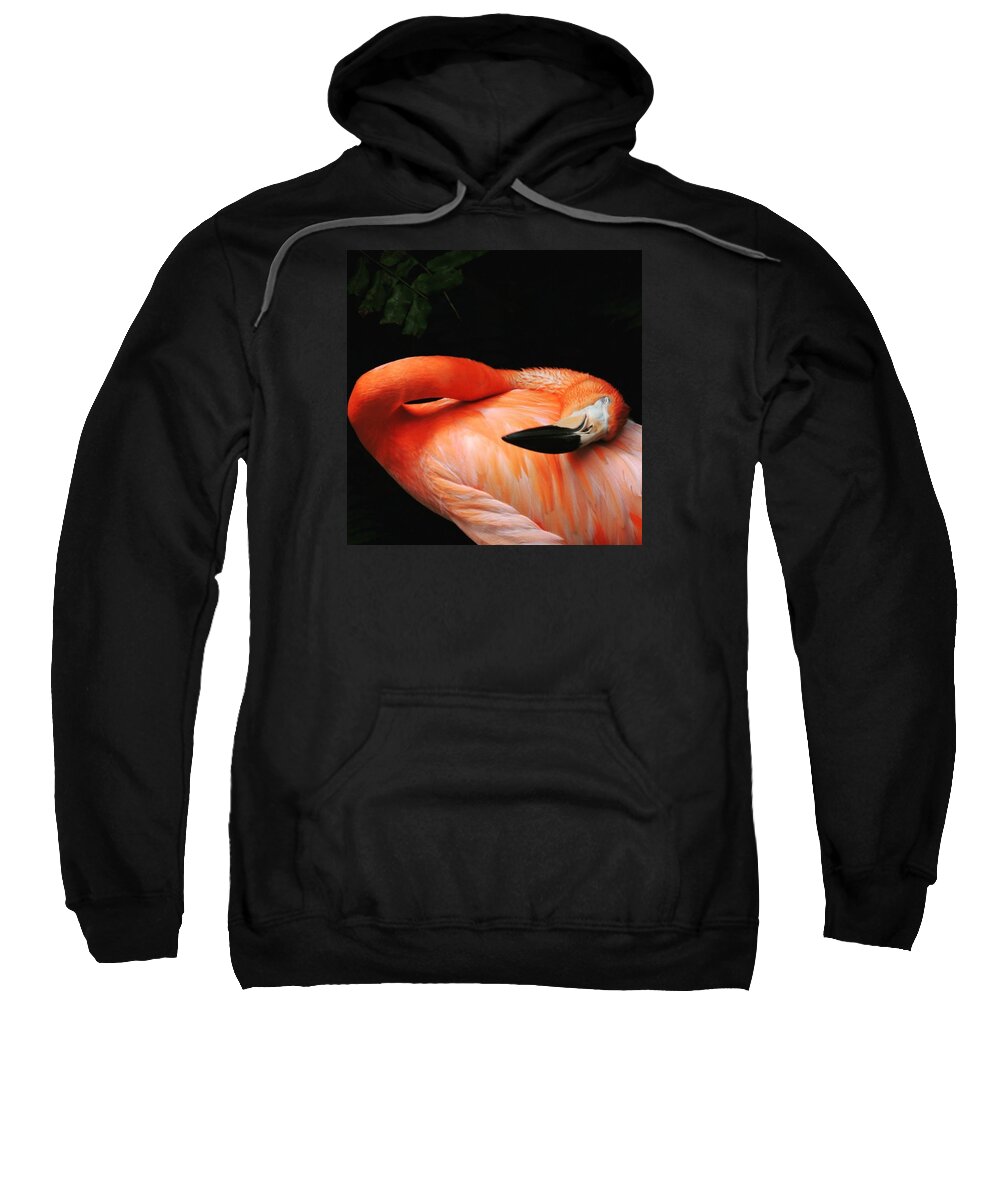 Flamingo Sweatshirt featuring the photograph Flamingo at Rest by Claudia Miller
