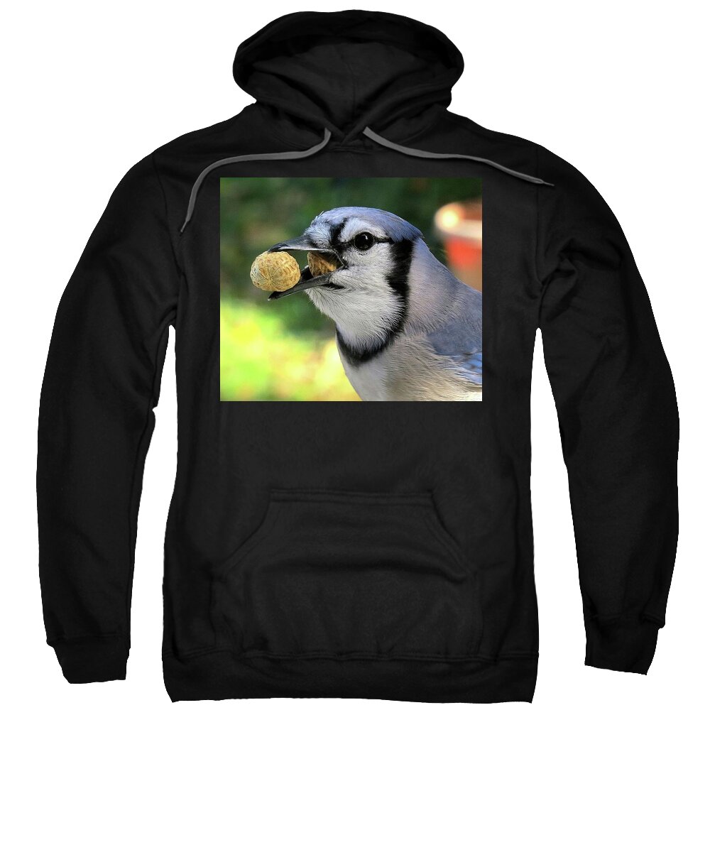Blue Jay Sweatshirt featuring the photograph One for the Road by Linda Stern